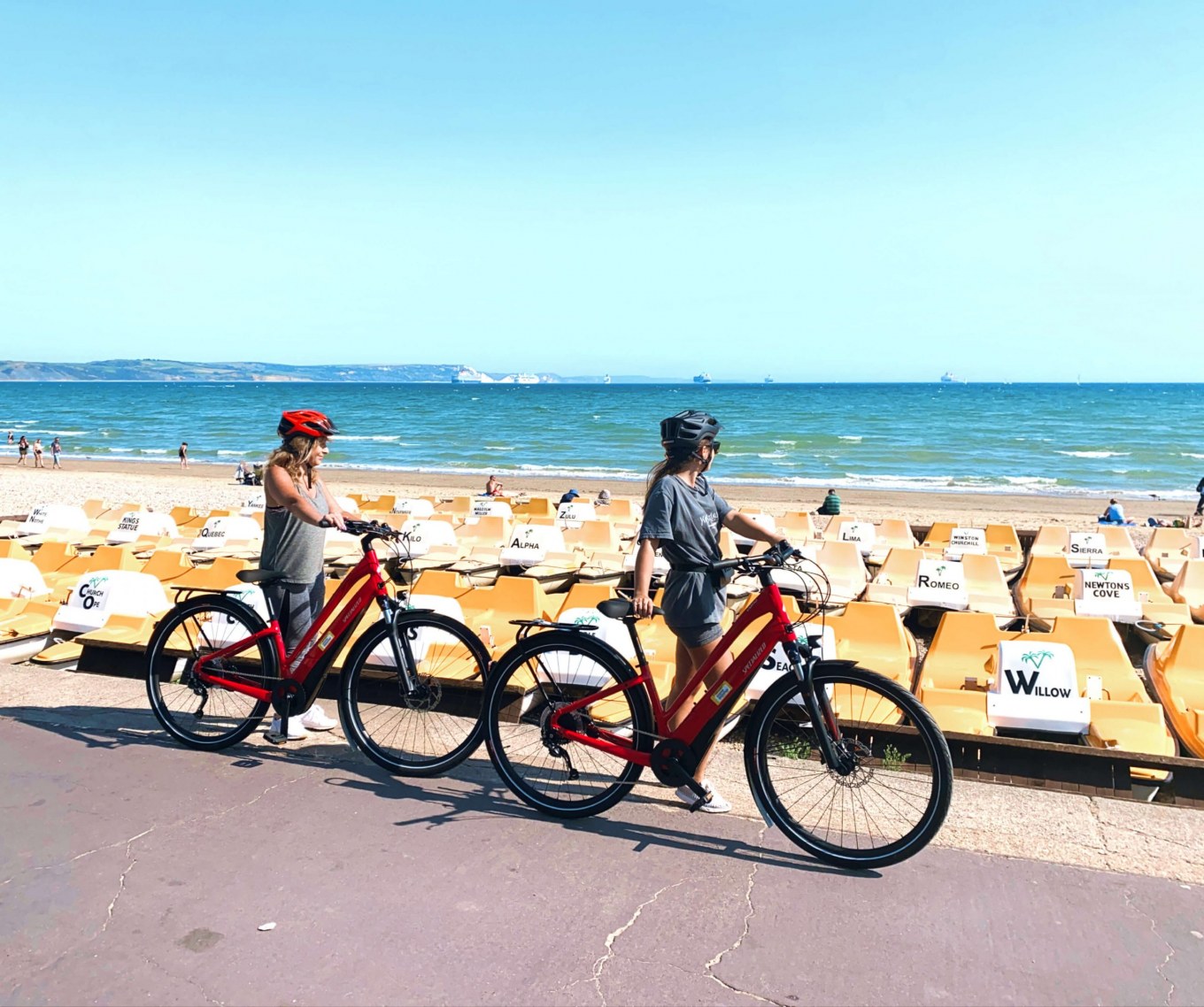 <?php echo pulse_output(); ?>